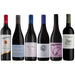 Monthly Mixed Reds - Womens Month Edition Buy Online Mothercity Liquor