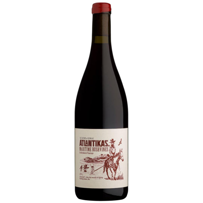 Scions of Sinai 'Atlantikas' Bushvines Pinotage 2025 - Mothercity Liquor