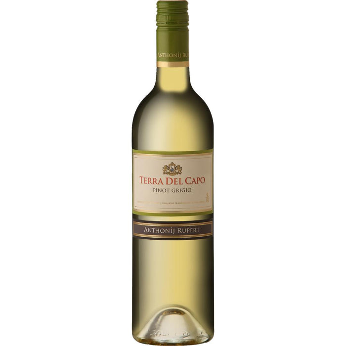 Terra Del Capo Pinot Grigio - Mothercity Liquor