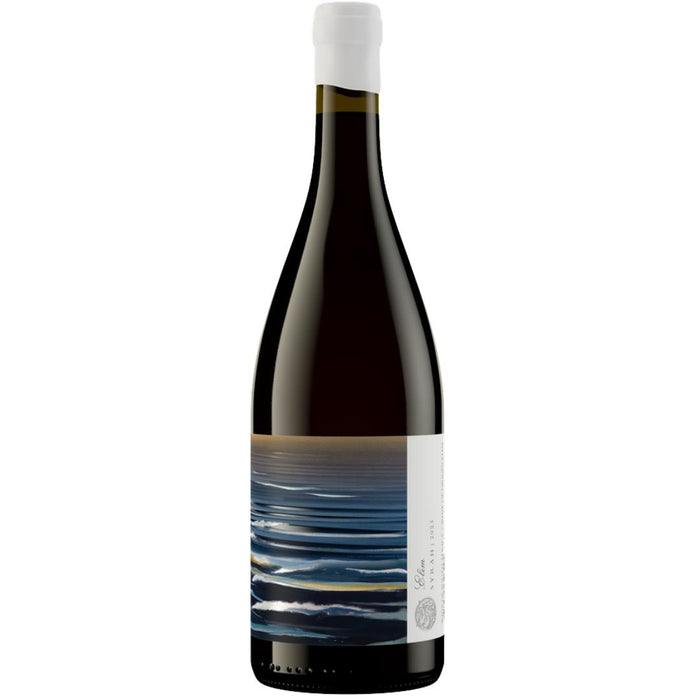 Trizanne Signature Wines Elim Syrah 2024 - Mothercity Liquor